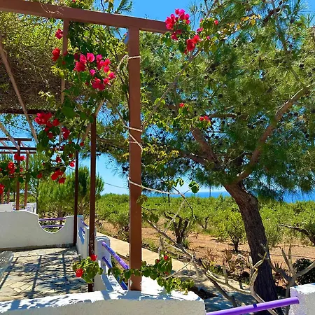 Apartment Crete *