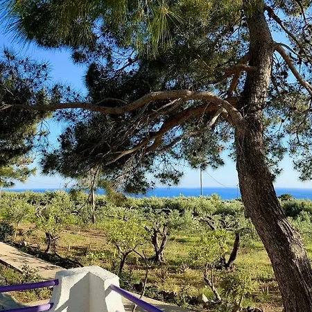 Crete Apartamento Ferma